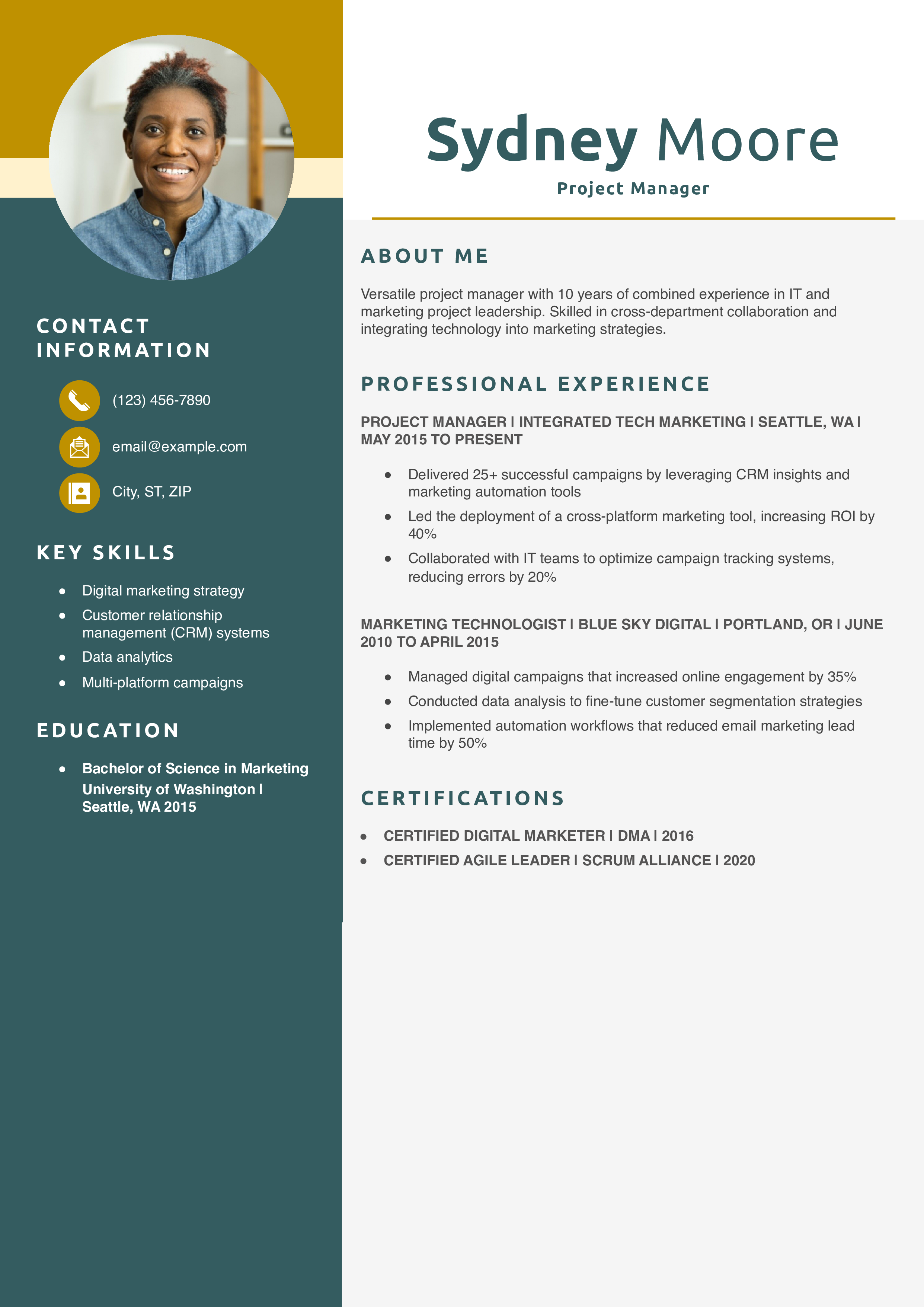 Hybrid Marketing and IT Project Manager Resume Example