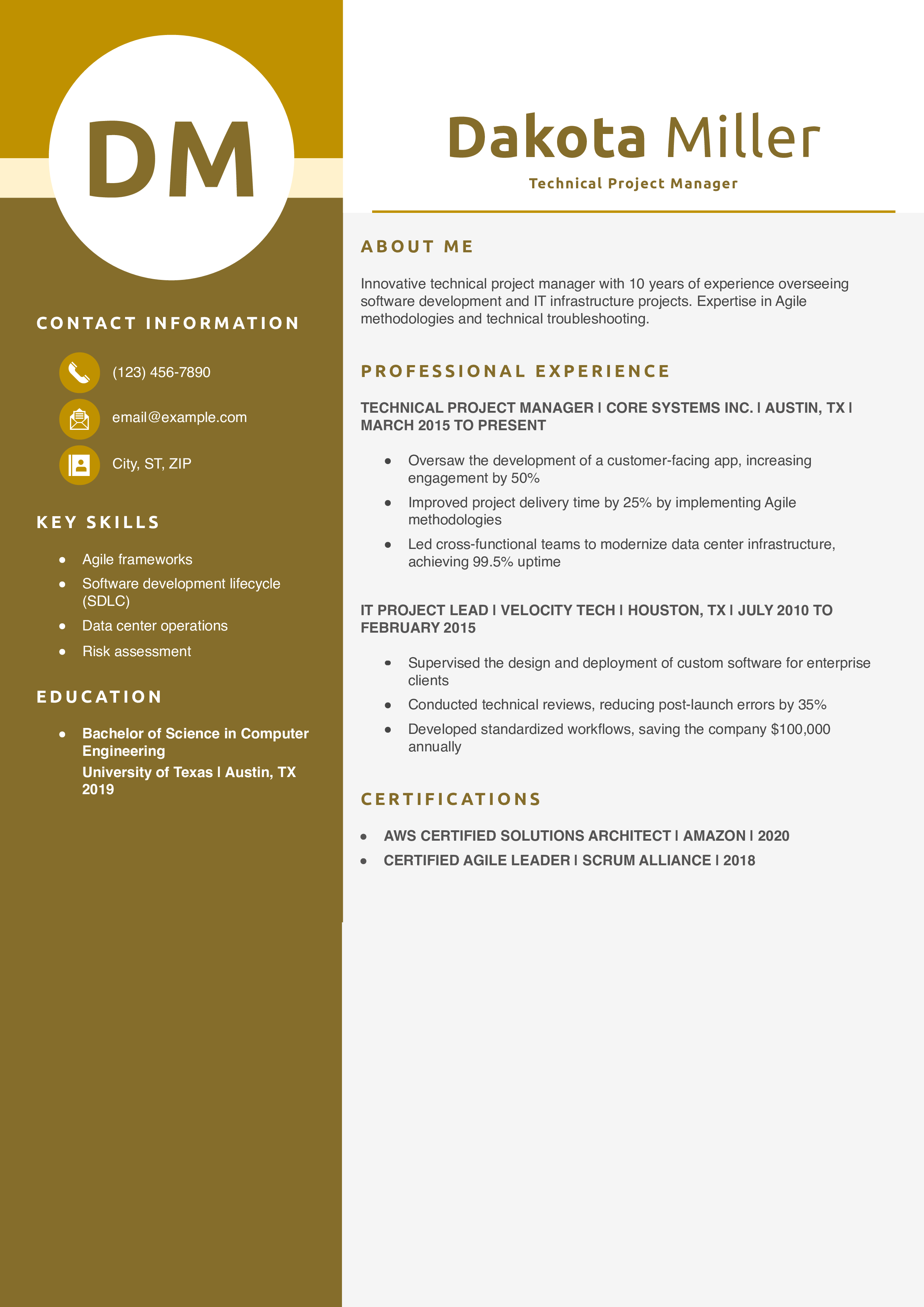 Technical Project Manager Resume Example