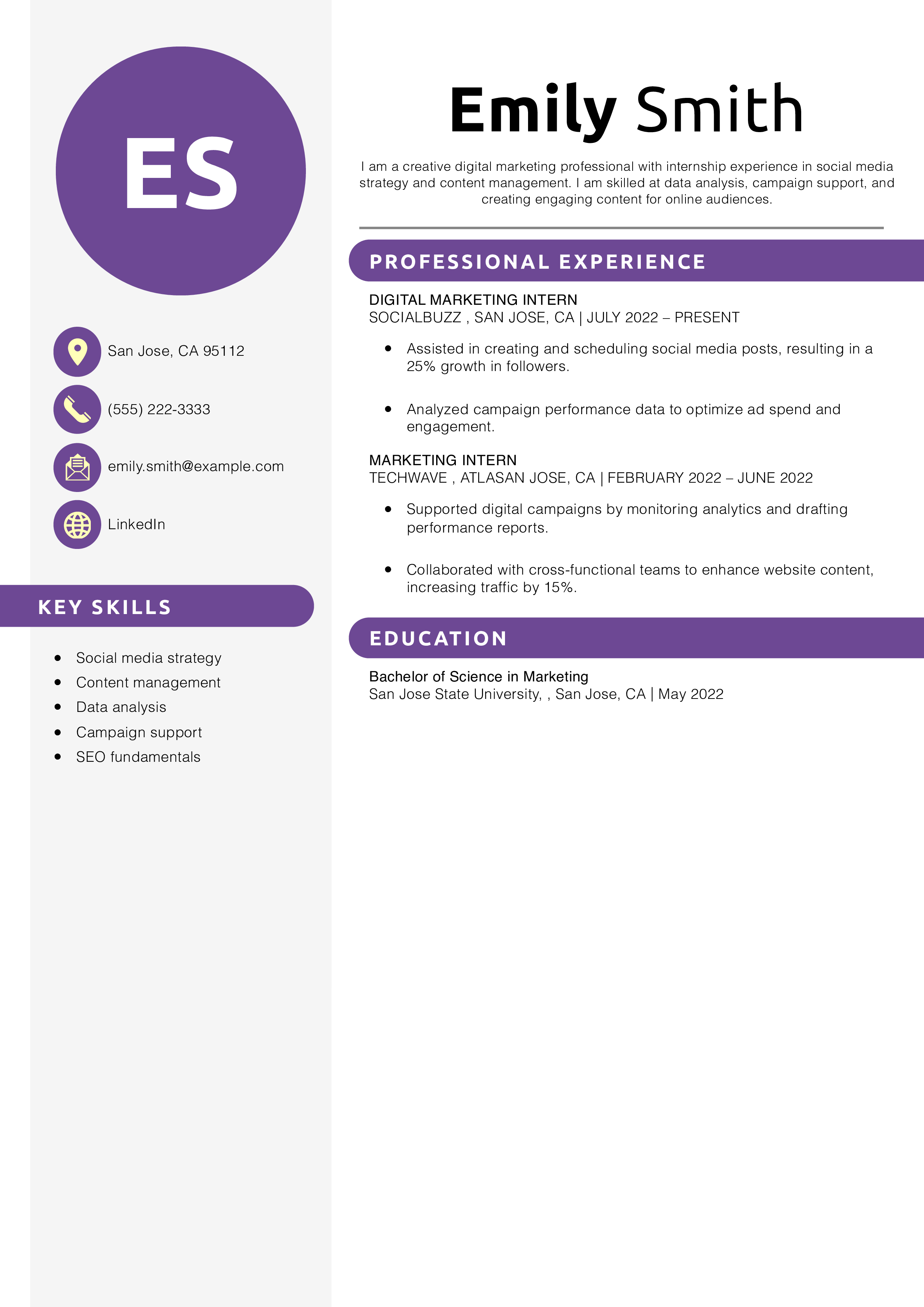 Digital Marketing Resume Example 
